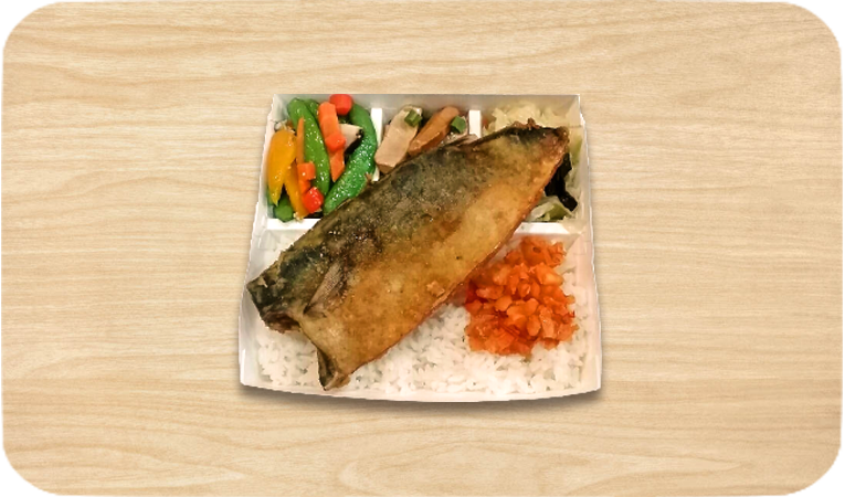 薄鹽鯖魚飯